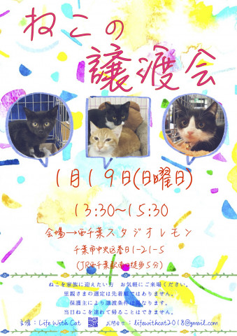 第27回ねこの譲渡会＠千葉県千葉市