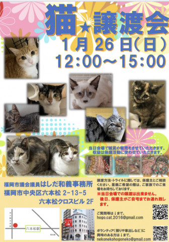 猫☆譲渡会