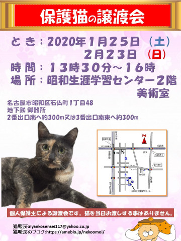 保護猫の譲渡会