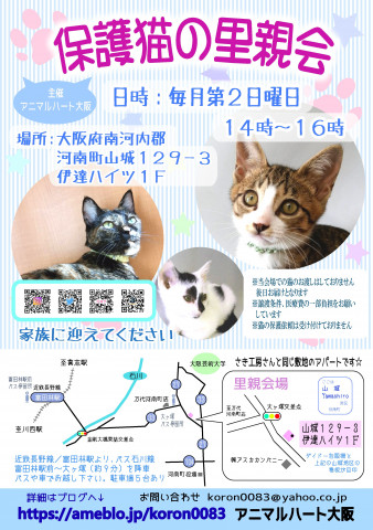 保護猫の里親会