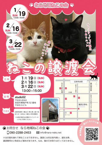 猫の譲渡会