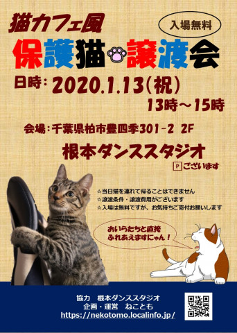 1/13（祝）　猫カフェ風保護猫譲渡会