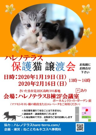 1/19（日）ハレノテラス保護猫譲渡会