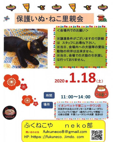 千葉県印西市開催/  ふくねこや。。