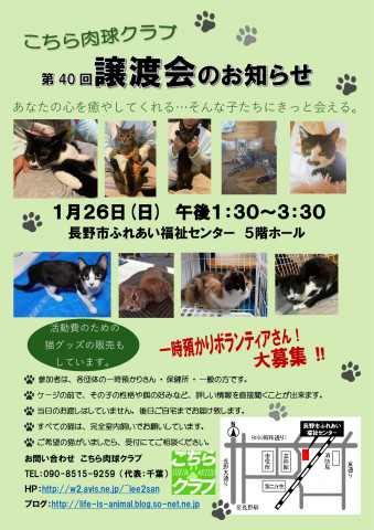 こちら肉球クラブ「猫の譲渡会」