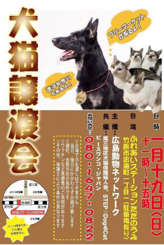 犬猫譲渡会