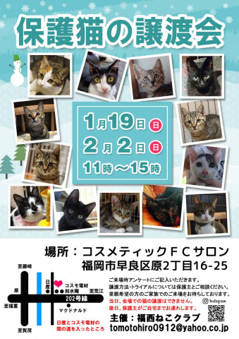 保護猫の譲渡会 - 猫の譲渡会掲示板 - ネコジルシ