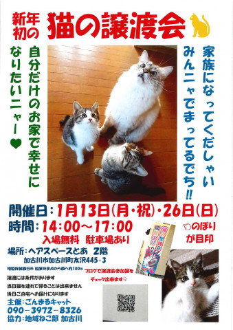 猫の譲渡会「加古川」