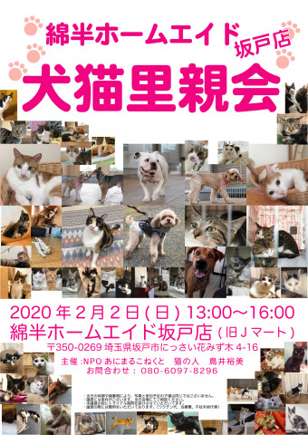 綿半ホームエイド坂戸店犬猫里親会