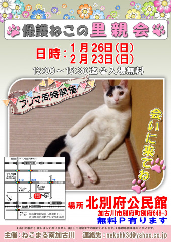 保護ねこの里親会 1/26㈰