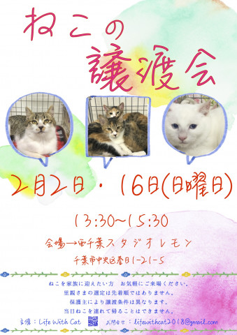 第28回ねこの譲渡会＠千葉県千葉市