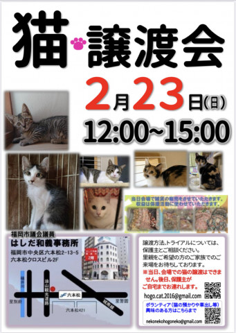 猫☆譲渡会