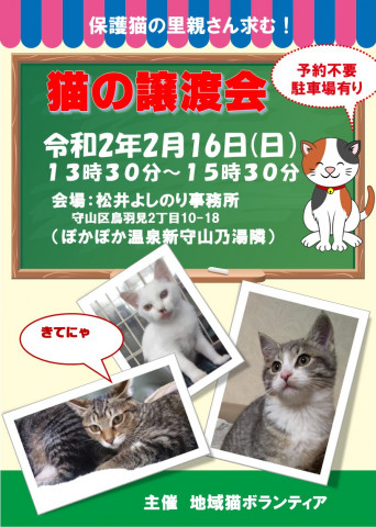 守山にて猫の譲渡会