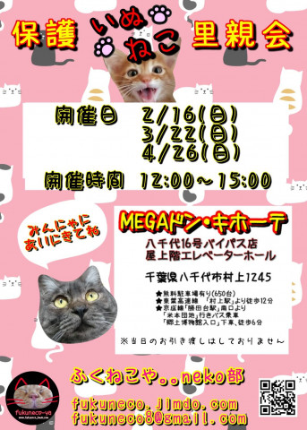 千葉県八千代市開催/ MEGAドンキ×ふくねこや