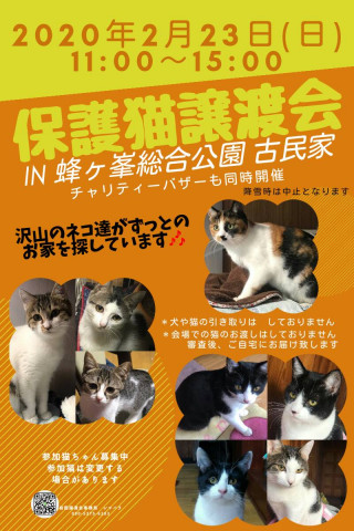 第７回  保護猫譲渡会IN山口県