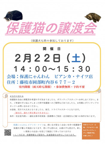 保護猫の譲渡会＆チャリティーグッズ同時販売