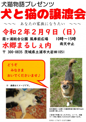 犬と猫の譲渡会