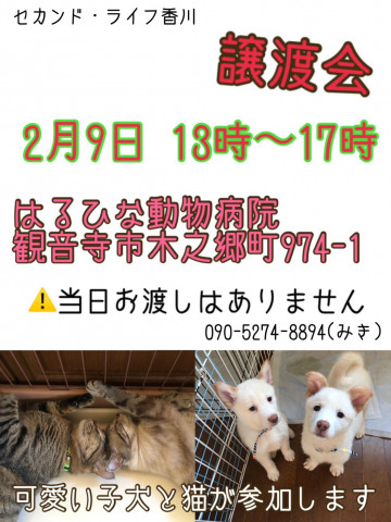 セカンドライフ香川  犬猫譲渡会