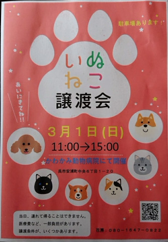 保護犬猫譲渡会