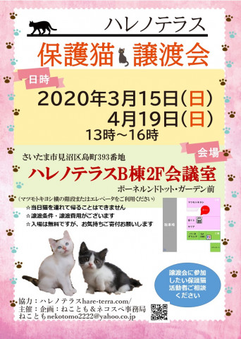 【開催中止】３/１５（日）ハレノテラス保護猫譲渡会