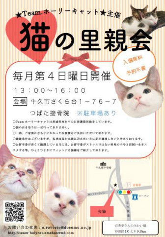 1/24は中止です。猫の里親会 in 牛久  茨城県 