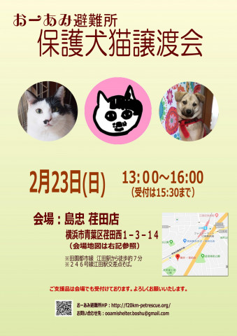 おーあみ避難所里親会in島忠 荏田店 猫の譲渡会掲示板 ネコジルシ