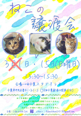 ＊中止＊第30回ねこの譲渡会＠千葉県千葉市