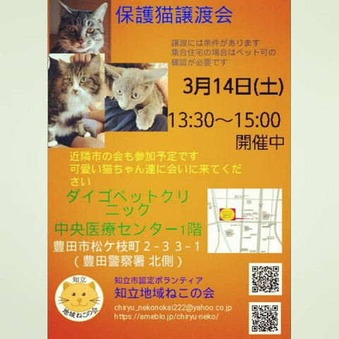 知立猫の会with個人ボラinダイゴペットクリニック