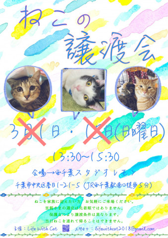 ＊中止＊第31回ねこの譲渡会＠千葉県千葉市