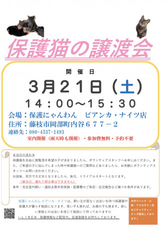 保護猫の譲渡会＆チャリティーグッズ同時販売