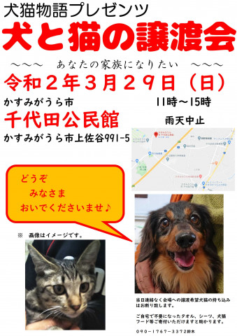 犬と猫の譲渡会