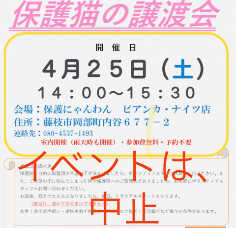 【中止】保護猫の譲渡会＆チャリティーグッズ同時販売