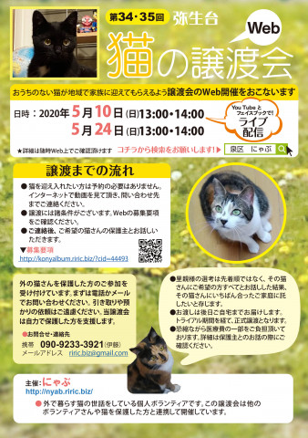 弥生台　猫の譲渡会