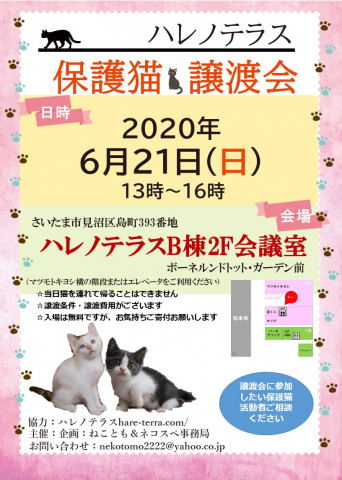 【開催中止】6/21(日)ハレノテラス保護猫譲渡会