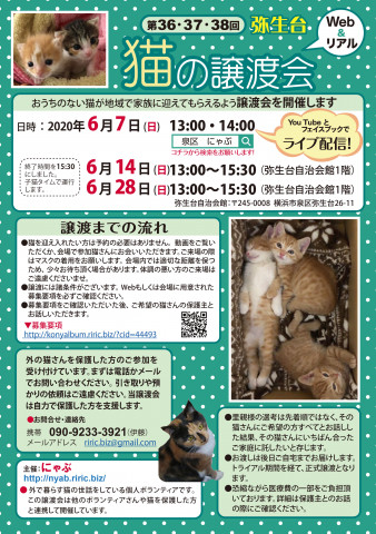 弥生台　猫の譲渡会