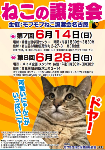 猫の譲渡会　in　名古屋市昭和区吹上町　吹上公園南東