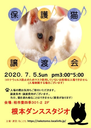 7/5(日）柏市DE保護猫譲渡会