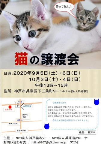 猫の譲渡会ｉｎ兵庫区