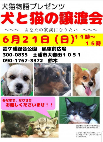 犬と猫の譲渡会