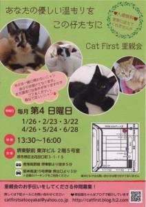 6/28  第17回　Cat First 里親会