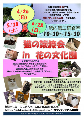 保護猫譲渡会IN花の文化園