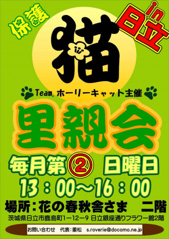 【中止のお知らせ】1月10日の猫の里親会 in 日立  茨城県 は中止です