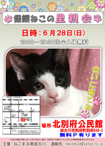 保護ねこの里親会 6/28(日)