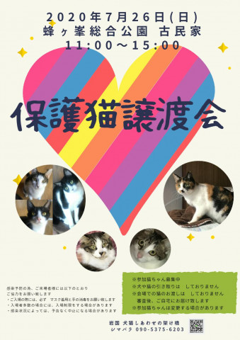 第８回保護猫譲渡会in山口県