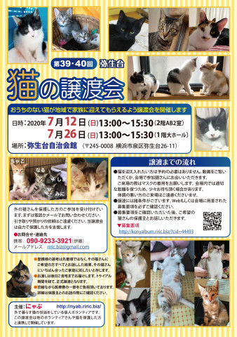 弥生台　猫の譲渡会