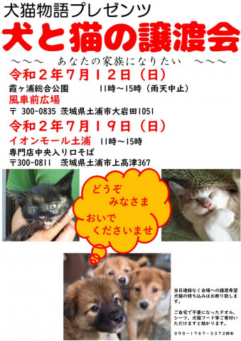 犬と猫の譲渡会