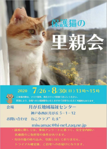 保護猫の里親会