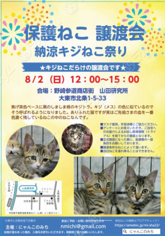 臨時キジ猫だけの譲渡会