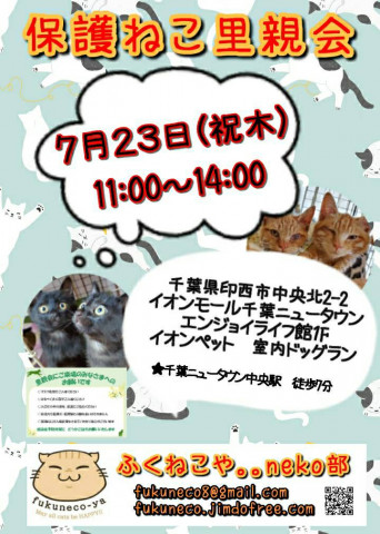 ▼▼中止▼▼千葉県印西市開催/  ふくねこや。。