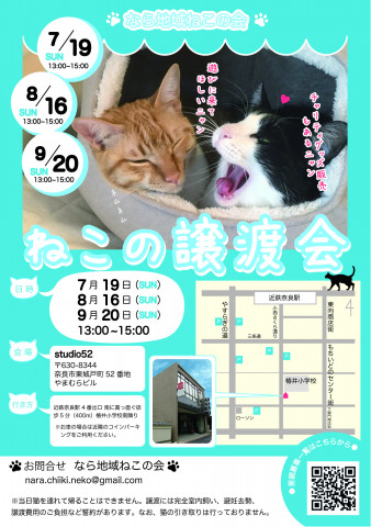 猫の譲渡会